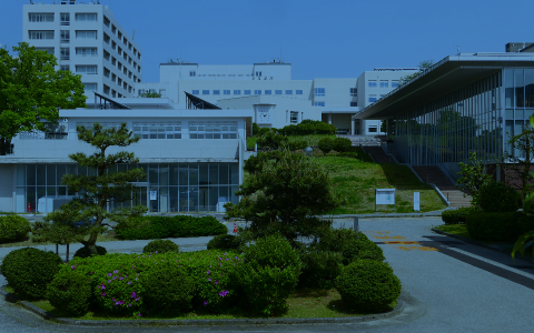 富山大学サイトの情報の画像